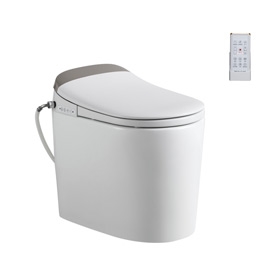 Instant Heating Intelligent Smart Sanitary Luxury Toilet