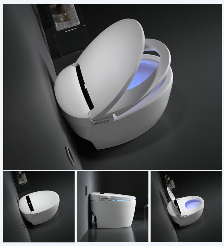 New Intelligent Toilet E8201A